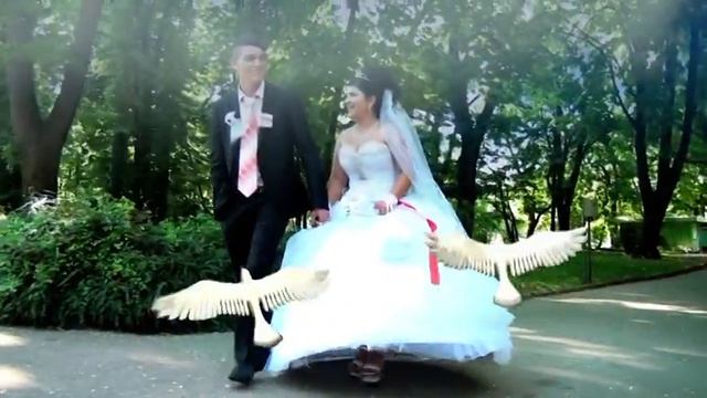 VTS 01 5 смотреть онлайн