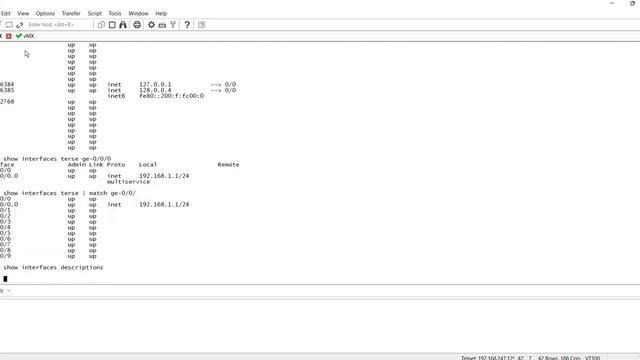 How to check interface configuration/parameters/ description/ arp on Juniper Routers and Switches смотреть онлайн
