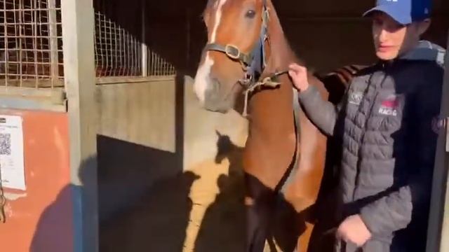 Exceed And Excel x Vintage Valley Colt смотреть онлайн