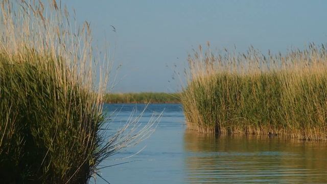 Tramonto Delta del Po - Italy - BMPCC4K-M4/3 смотреть онлайн