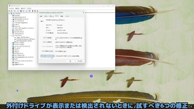 Windows11●10●外付けドライブが表示または検出されないときに、試すべき6つの修正 смотреть онлайн