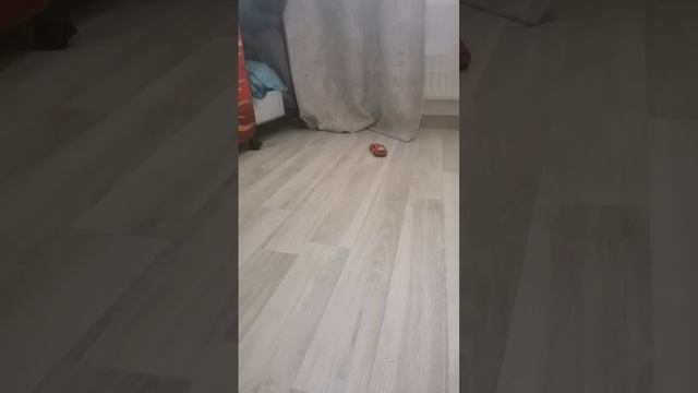 lv_0_20241019110748.mp4 смотреть онлайн