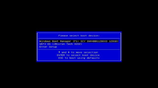 Booting the external CSI Linux Triage Drive смотреть онлайн