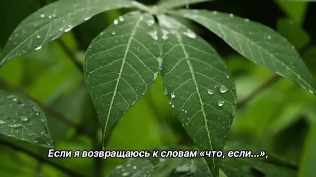 "Что, если..." 24 октября. Сегодня - лучший путь. Ежедневник для созависимых. смотреть онлайн
