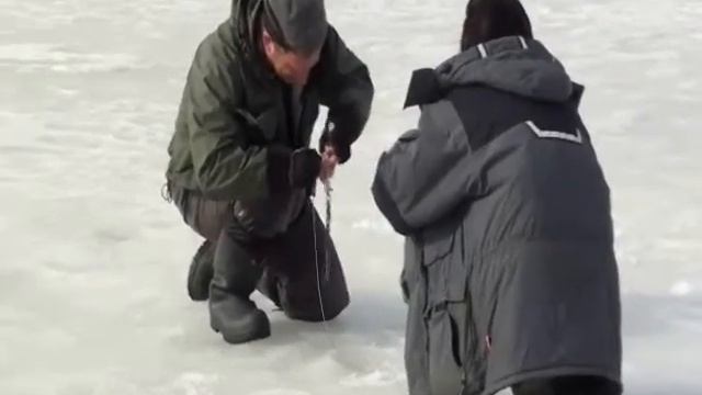 последний лёд 2011.wmv смотреть онлайн