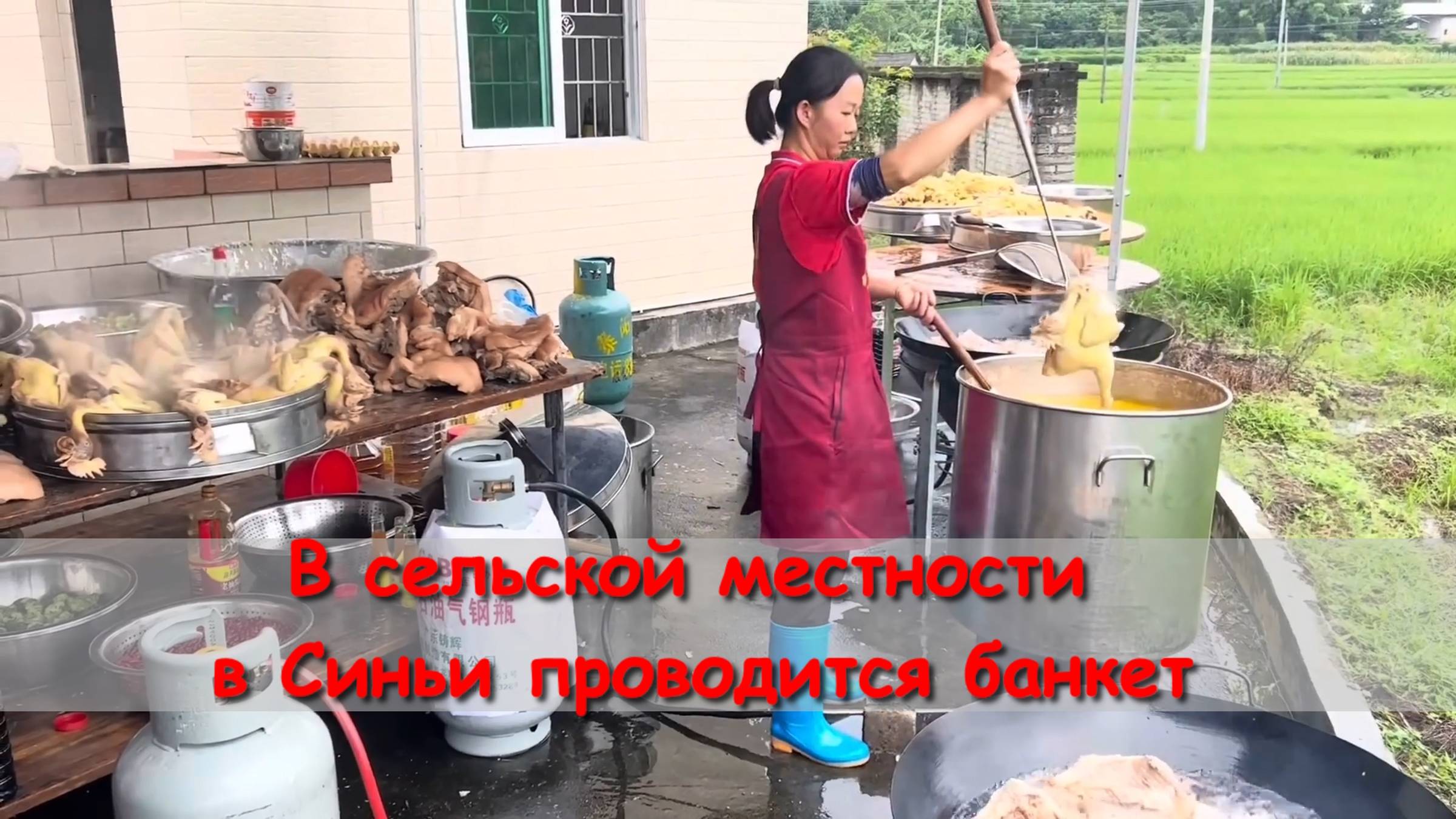 В сельской местности в Синьи, провинция Гуандун, проводится банкет смотреть онлайн