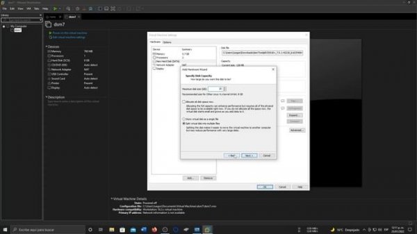 Xpenology DSM 7 Vmware
