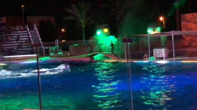 Marineland 2018 spectacle nocturne ( l’esprit des dauphins ) partie 2/3 - vlog 05 смотреть онлайн