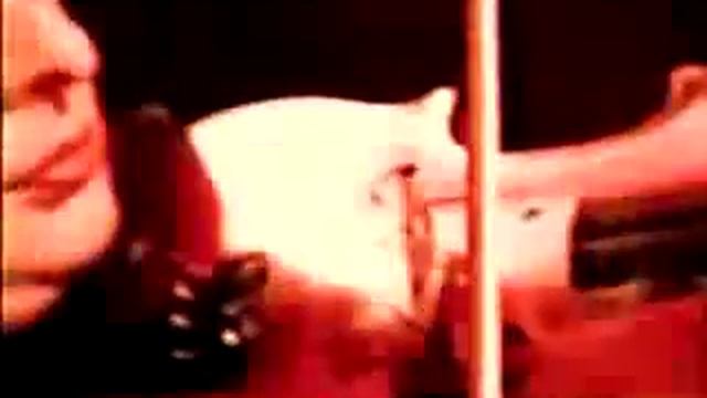 Romanshago / Matilda Leko with Harri Stojka Group / Garude Apsa смотреть онлайн