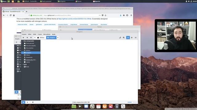 Como deixar o Linux Mint com o visual do macOS da Apple - Tutorial completo смотреть онлайн