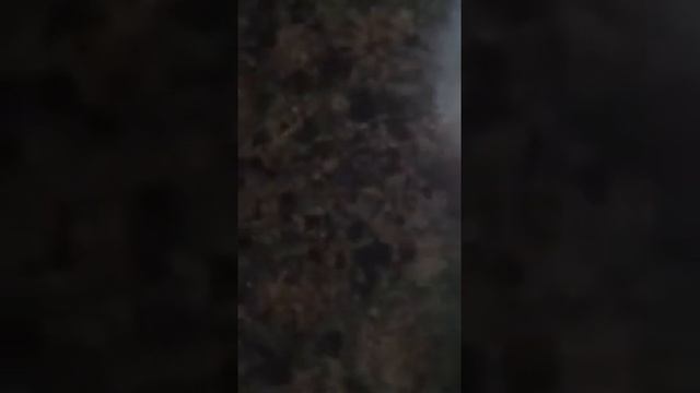 Awesome glitch for iOS 6.1.3 and 6.1.4 смотреть онлайн