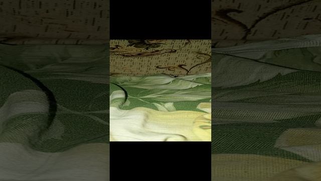 дискотека вегана.