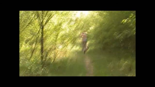Bracco Italiano clean boot hunting Gasparo.wmv смотреть онлайн