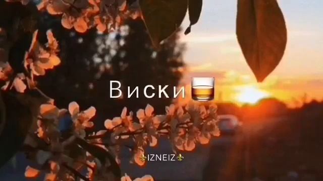 Джаро & Ханза - Королева танцпола 🖤 смотреть онлайн