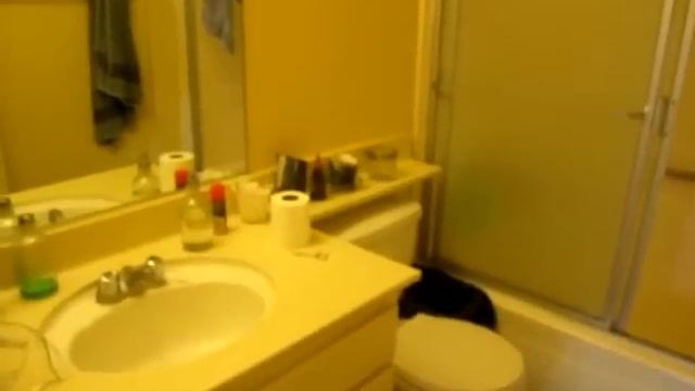 PL2303 - West LA Apartment For Rent. смотреть онлайн