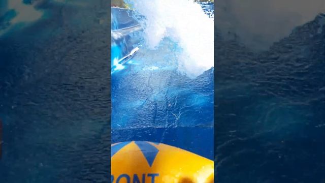 Аквапарк Водные горки Адреналин #shorts #аквапарк #горки #турция #горка #адреналин #like #wow #top