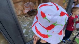 ВЛОГ Алиса фанатка ЭДИСОНА ПЕРЦА! шоппинг НА МОРЕ ! Крокодиловая ферма в Голубицкой! Азовское море!