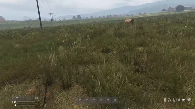 DayZ 1.21 Стрим |Первак | Жизнь после вайпа смотреть онлайн
