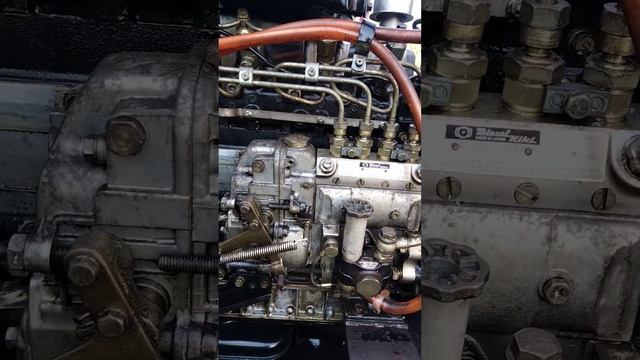 Isuzu C240 0918993795 Sang Cao Lãnh смотреть онлайн