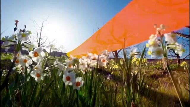 Apple Spring Loaded Event intro #apple #appleevent #applesong #appleiphone #applemusic смотреть онлайн