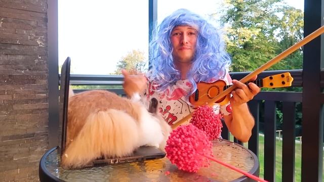 ZAGA I JA SVIRAMO VIOLINU смотреть онлайн