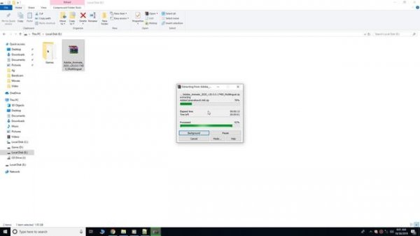 Adobe Animate CC 2020