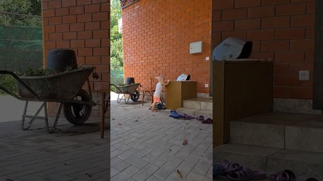 Алиса гуляет. смотреть онлайн