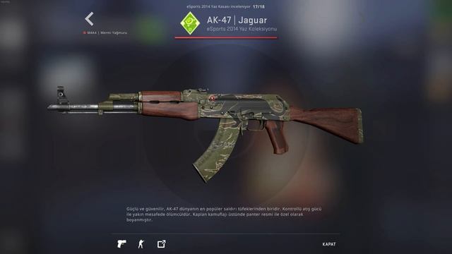 CS:GO ESPORTS 2014 YAZ KASASI AÇILIMI!☀️AK-47 JAGUAR AVI!🏹#OneShot смотреть онлайн