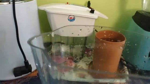 5. Вода активирована смотреть онлайн