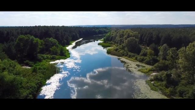 Cinematic Colour Grading in VN | FREE LUT DOWNLOAD смотреть онлайн