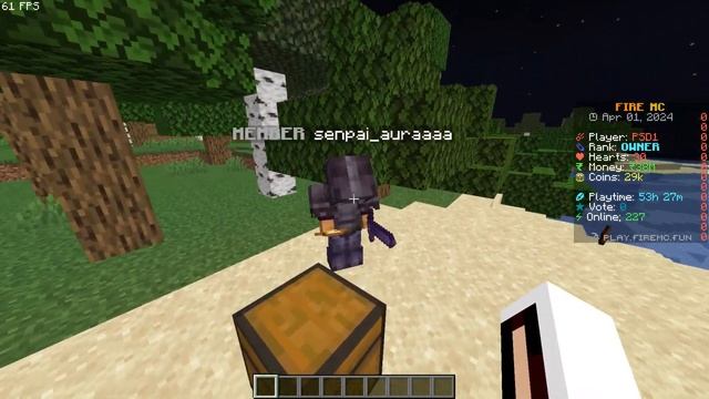 How I Hacked Owners Account In This Lifesteal SMP FireMC @PSD1