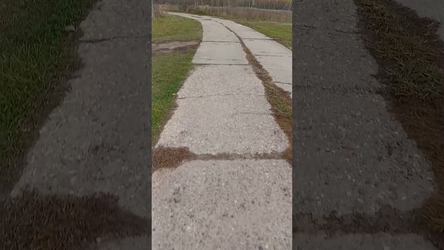 Экспедиция по деревне и её окресностям. Часть 2