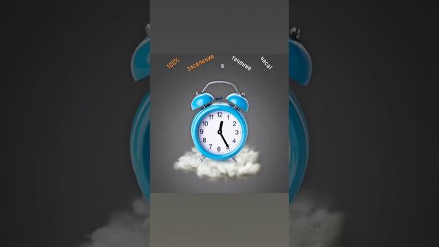 Сдача квартиры посуточно . Санкт-Петербург.