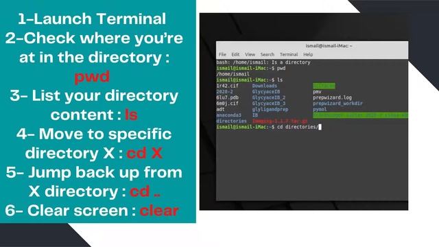 Command Line Basics for linux or Mac OS смотреть онлайн