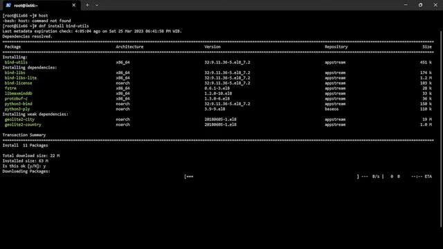 HOST: COMMAND NOT FOUND in AlmaLinux смотреть онлайн