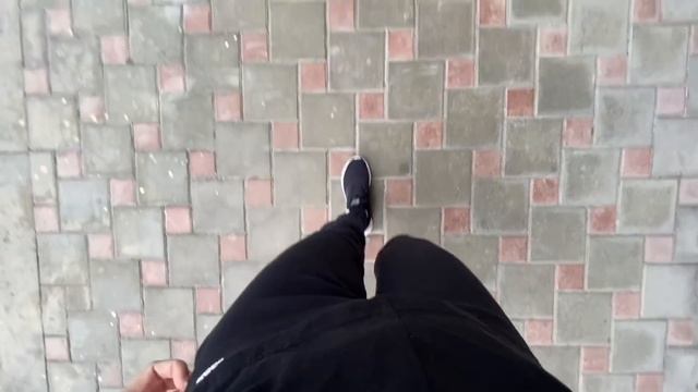 ВЛОГ Перевозим МАМУ с кошкой и собакой в Краснодар! Чуть не попали в аварию в Анапе! Встреча с мамой смотреть онлайн