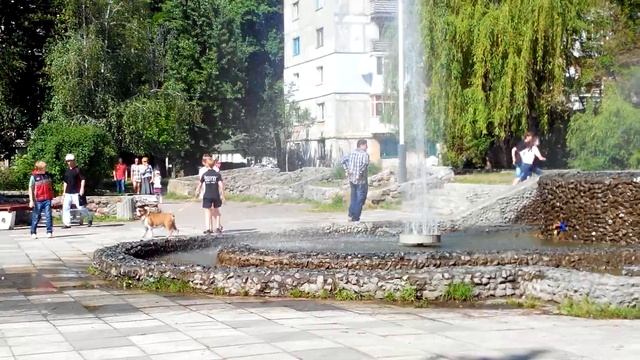 г.Вольногорск. Возле Фонтана! смотреть онлайн