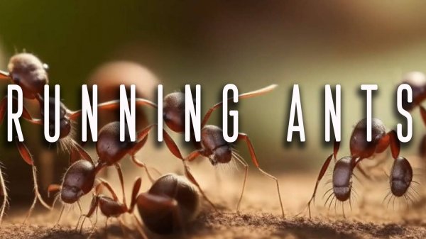 Running Ants