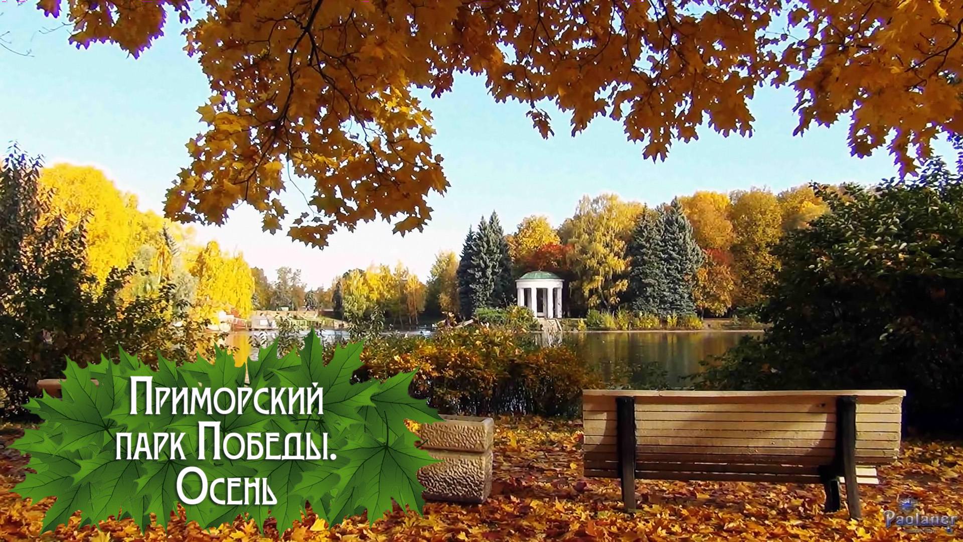 Приморский парк Победы. Осень (2024) смотреть онлайн