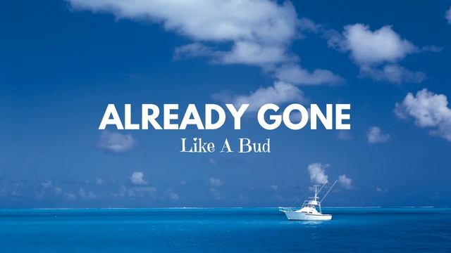 Sleeping At Last - Already Gone [Like A Bud]🌱 смотреть онлайн