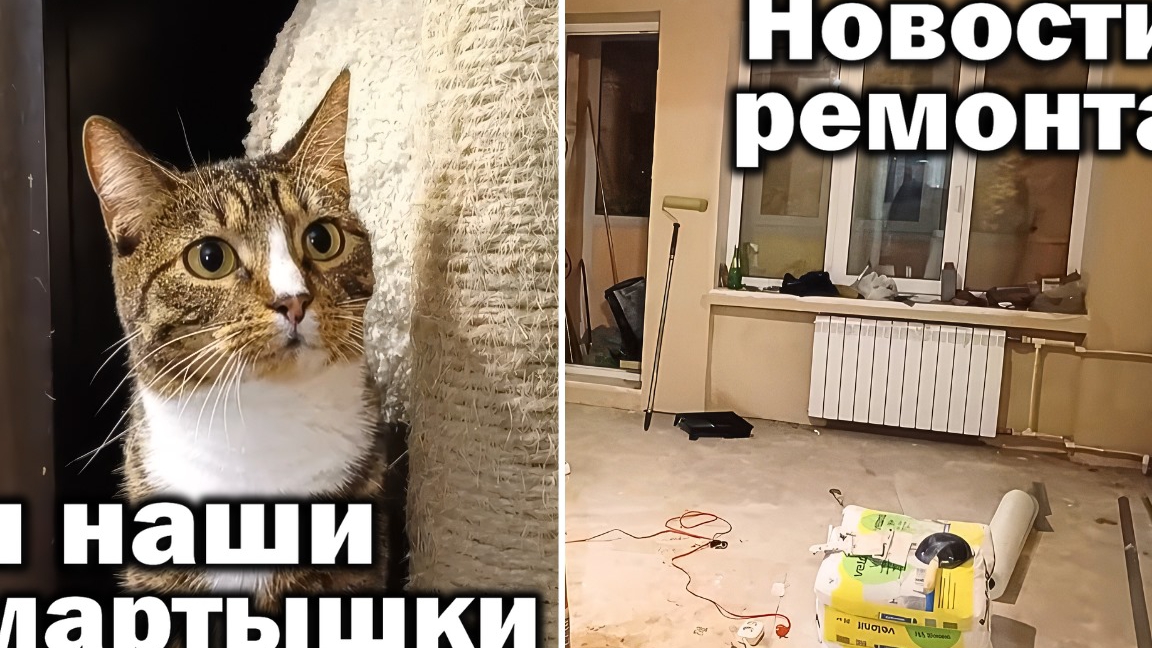 Новости ремонта и наши мартышки. смотреть онлайн