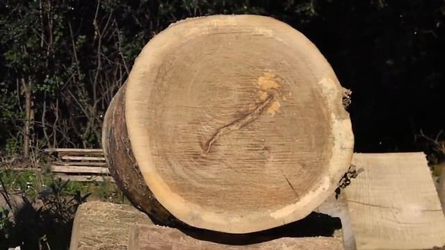 McCulloch Super Pro 80 with NOS 28" Mac bar and Stihl chain смотреть онлайн