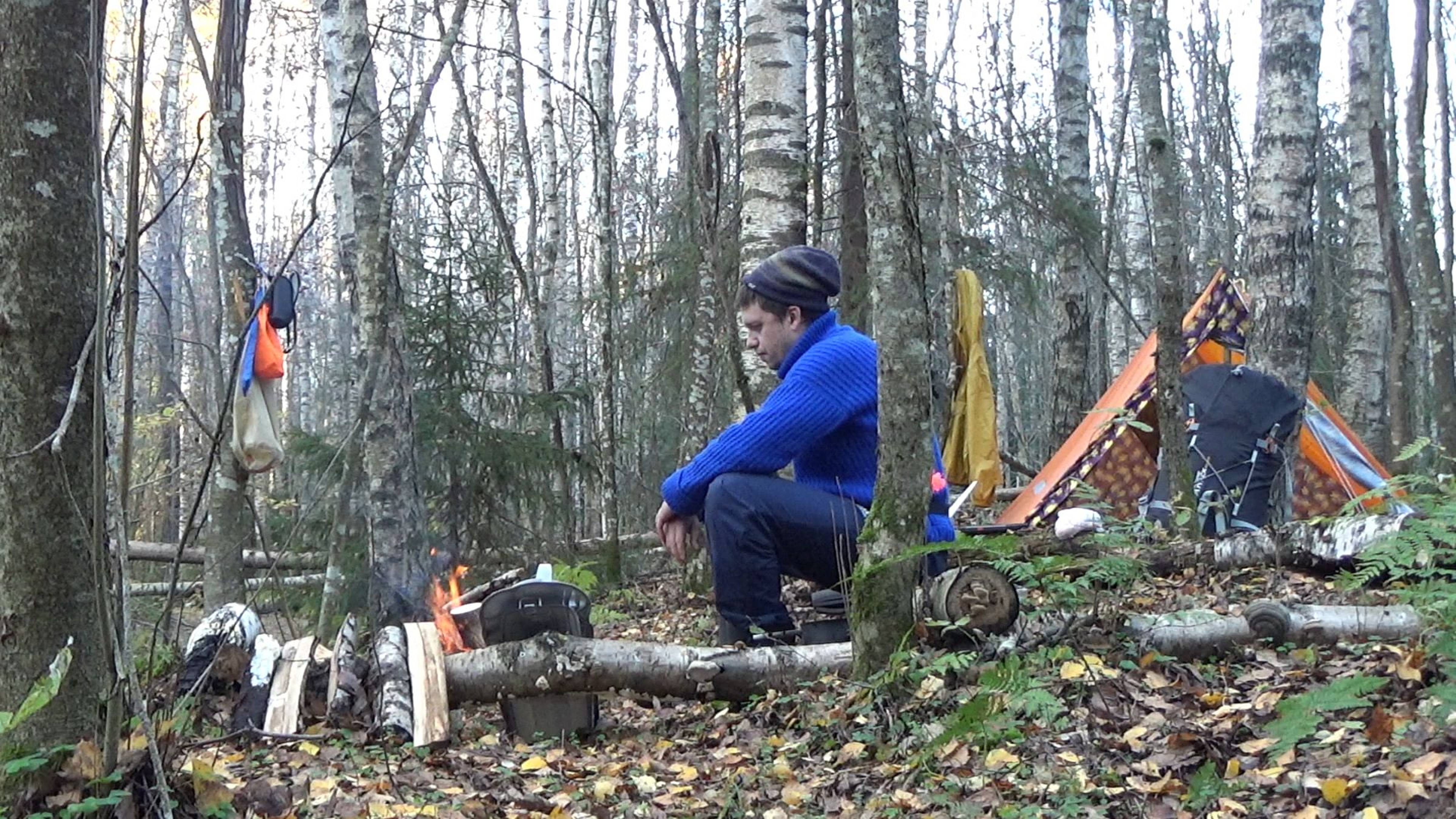 Золотая Осень 2024 / Октябрь смотреть онлайн