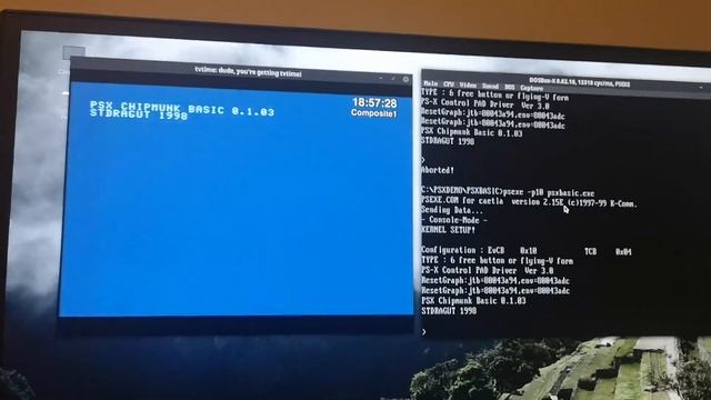 Sony PlayStation - Caetla/Xplorer Cheat Cart with DosBox-X & Parallel Port смотреть онлайн