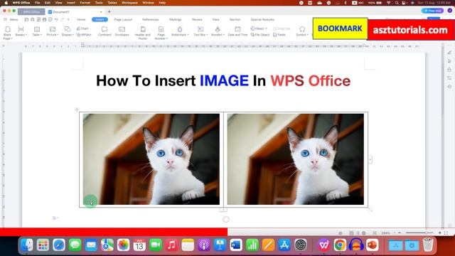 How To Insert IMAGE In WPS Office смотреть онлайн