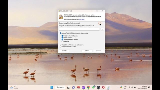 How to Forcefully Delete a File on Windows 11 or 10 PC with FileAssassin? смотреть онлайн