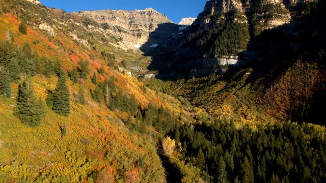Larkin Autumn Commercial смотреть онлайн