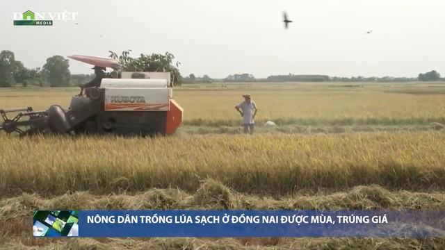 Chuyển động Nhà nông 28/4: Hôm nay khai mạc Lễ hội Xoài Đồng Tháp 2023 | Báo điện tử Dân Việt смотреть онлайн