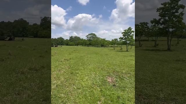 DOUBLE LAYERED STRENGTH - 2 step fly control смотреть онлайн