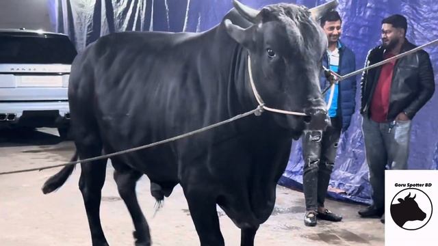 Apple Agro 2024 | Exclusive Collection | One of The Best Collections MashaAllah | Goru Spotter BD смотреть онлайн